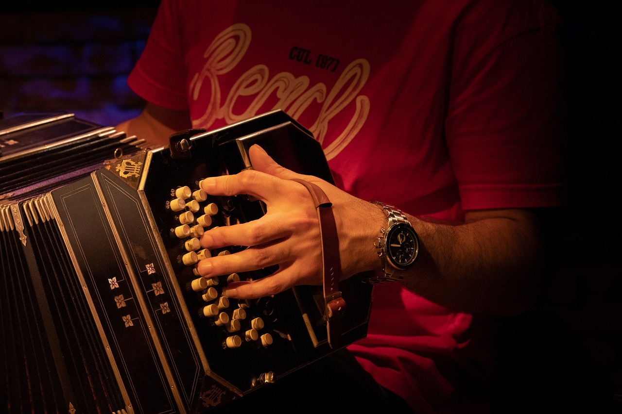 Atelier danse et musique folk : Le Bal